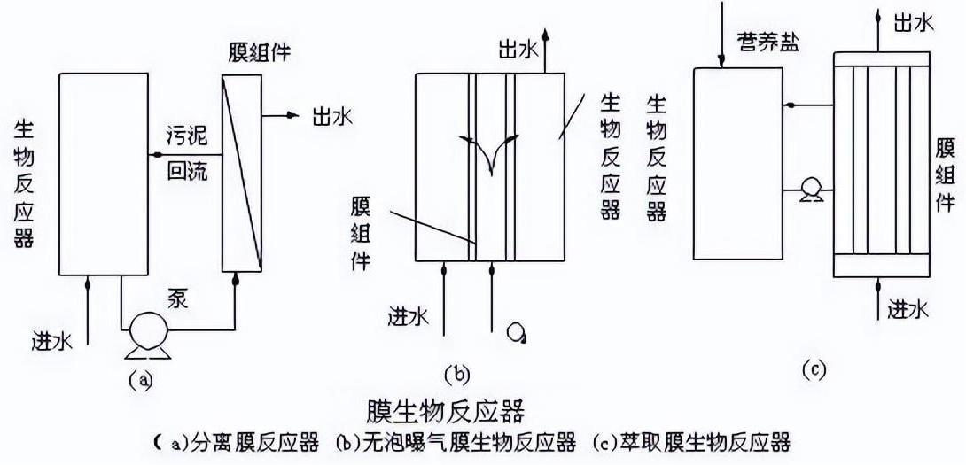 567.jpg